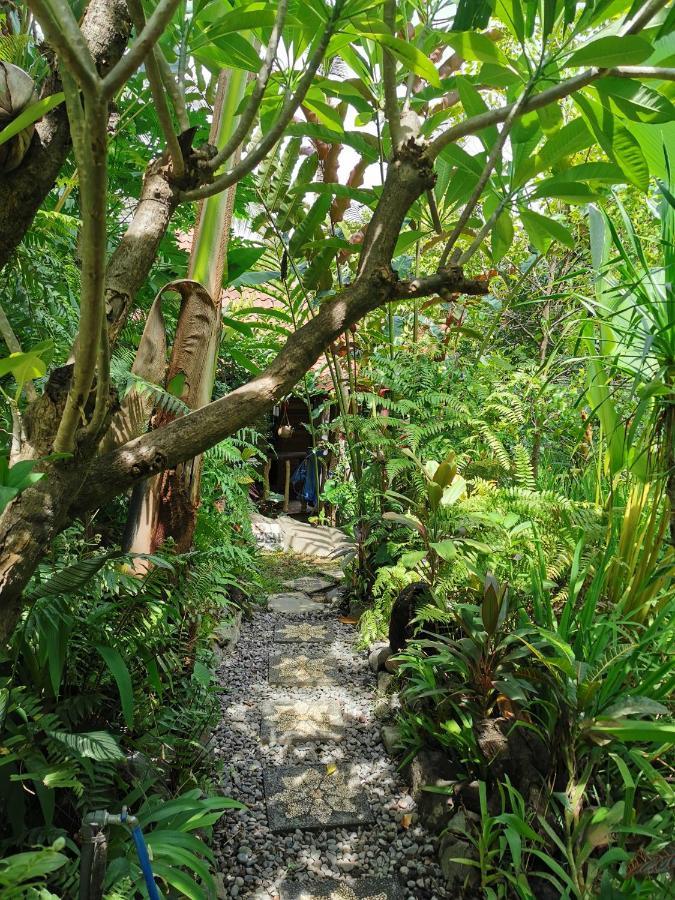 Les Garden Villa Tejakula Luaran gambar