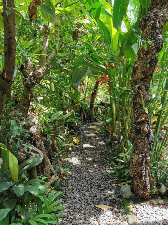 Les Garden Villa Tejakula Luaran gambar