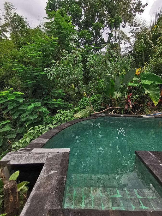 Les Garden Villa Tejakula Luaran gambar