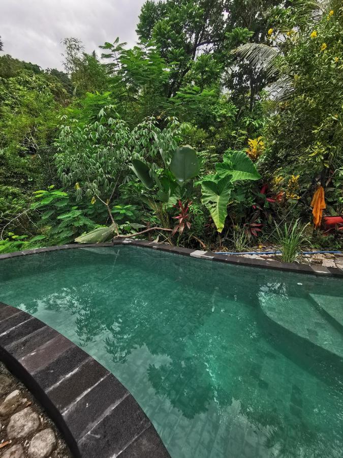 Les Garden Villa Tejakula Luaran gambar