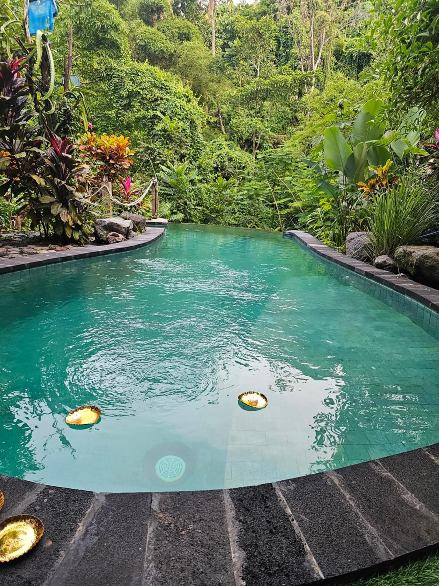 Les Garden Villa Tejakula Luaran gambar
