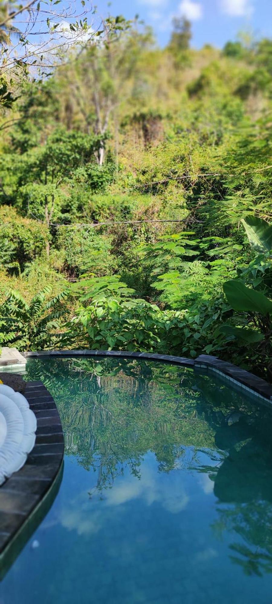 Les Garden Villa Tejakula Luaran gambar