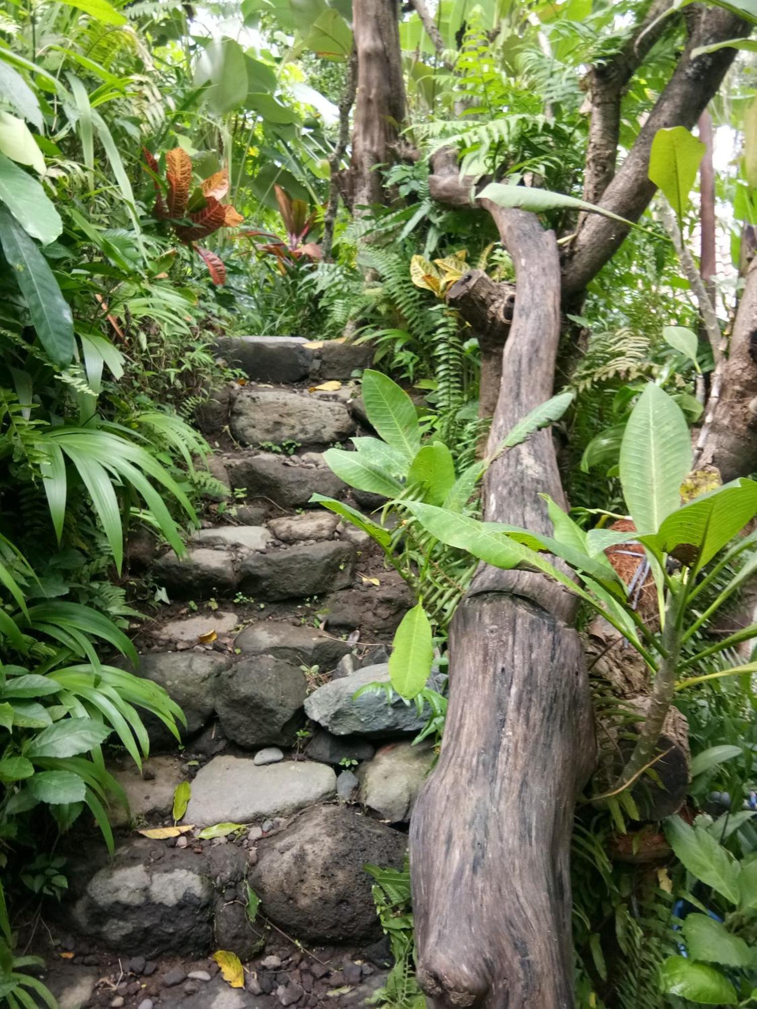 Les Garden Villa Tejakula Luaran gambar