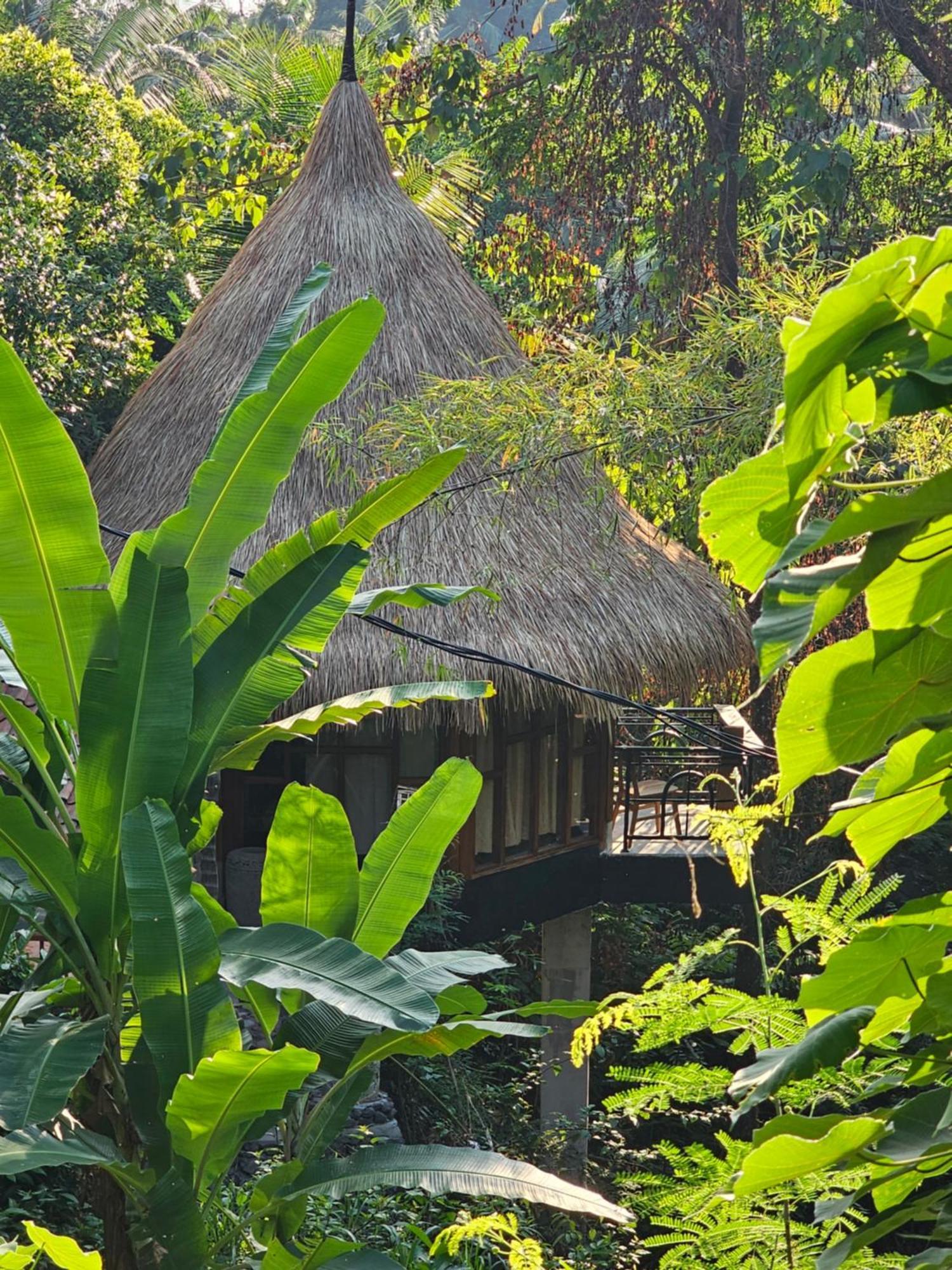 Les Garden Villa Tejakula Luaran gambar
