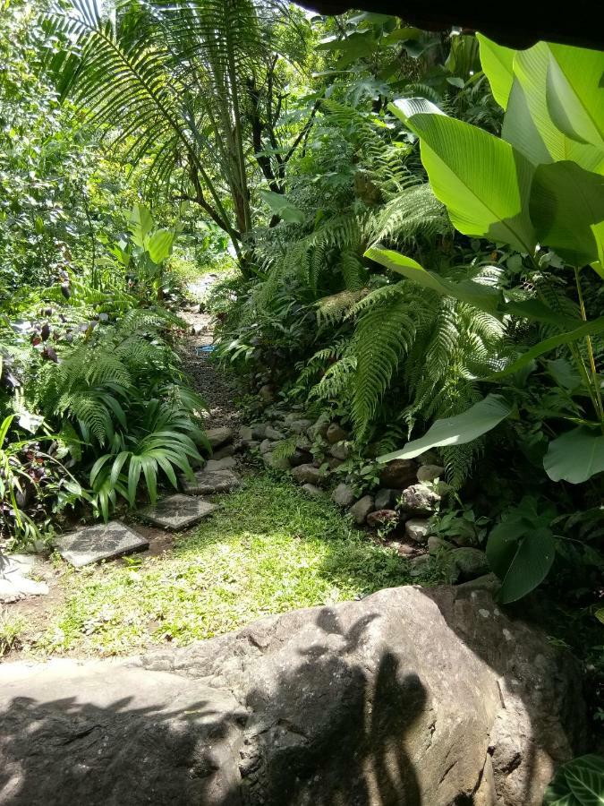 Les Garden Villa Tejakula Luaran gambar