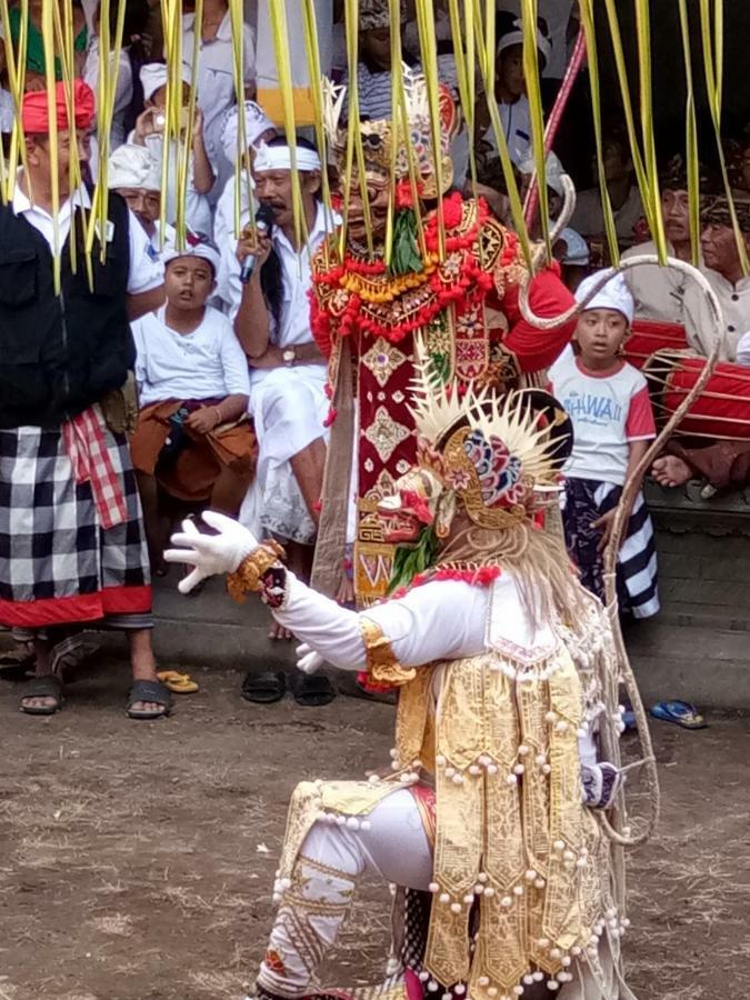 Les Garden Villa Tejakula Luaran gambar