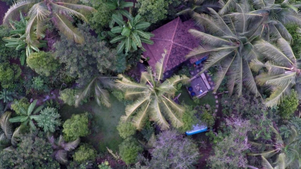 Les Garden Villa Tejakula Luaran gambar
